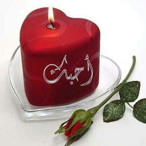 Meet your Posher, Mariam